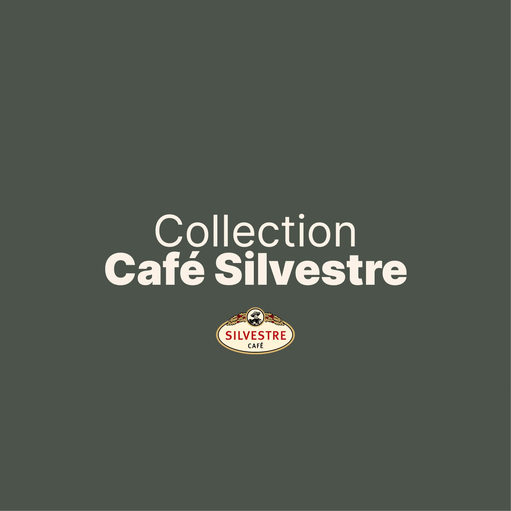 Sélection Café Silvestre
